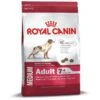 Royal Canin Medium Mature | 4kg Hundefutter Trocken -Hund Lieferungen Angebote 750 RC Medium Mature Adult