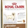Royal Canin Breed Labrador Retriever | 3kg Hundefutter