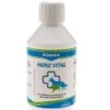 Canina Herz-Vital | 250ml Zusatzfutter 1 Canina Herz-Vital | 250ml Zusatzfutter -Hund Lieferungen Angebote Canina Pharma Herz Vital 250 ml 7530