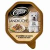 Cesar Mini Geflügel Und Gemüse | 14x150g Hundefutter -Hund Lieferungen Angebote Cesar Mini Gefluegel und Gemuese 14x150g Hundefutter 435