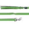 Curli Basic Nylon Lime | 140cm X 2cm Hundeleine -Hund Lieferungen Angebote Curli Basic Hundeleine Nylon 140 x 2 cm lime 212428