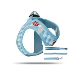 Curli Vest Puppy Set Skyblue-caro | Gr. 2XS Hundegeschirr Welpen