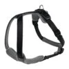 Hunter Neopren Schwarz / Grau | Gr. S Hundegeschirr 2 Hunter Neopren Schwarz / Grau | Gr. S Hundegeschirr -Hund Lieferungen Angebote Hunter Geschirr Neopren Schwarz Grau S 45 57 cm 15 mm 211692