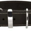 Hunter Aalborg Special Schwarz 55 M | 40-48 Cm Hundehalsband -Hund Lieferungen Angebote Hunter Halsband Aalborg Special schwarz 55 M 40 48 cm 214368